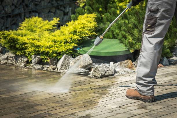 Best Roof Washing  in Pittsfield, MA