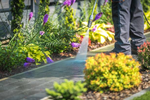 Best Boat and Dock Cleaning  in Pittsfield, MA