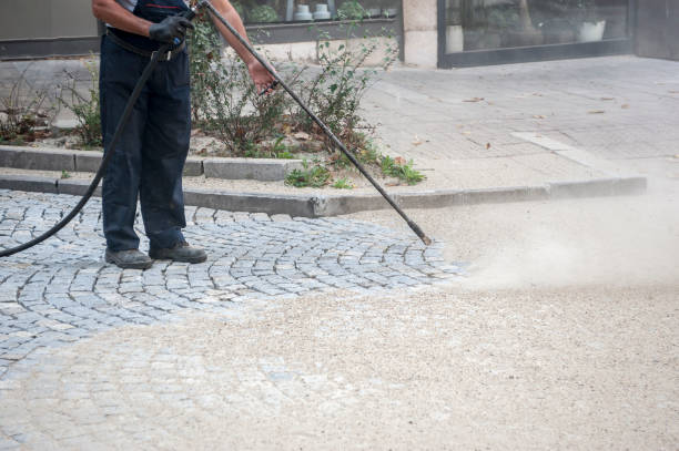 Best Driveway Pressure Washing  in Pittsfield, MA
